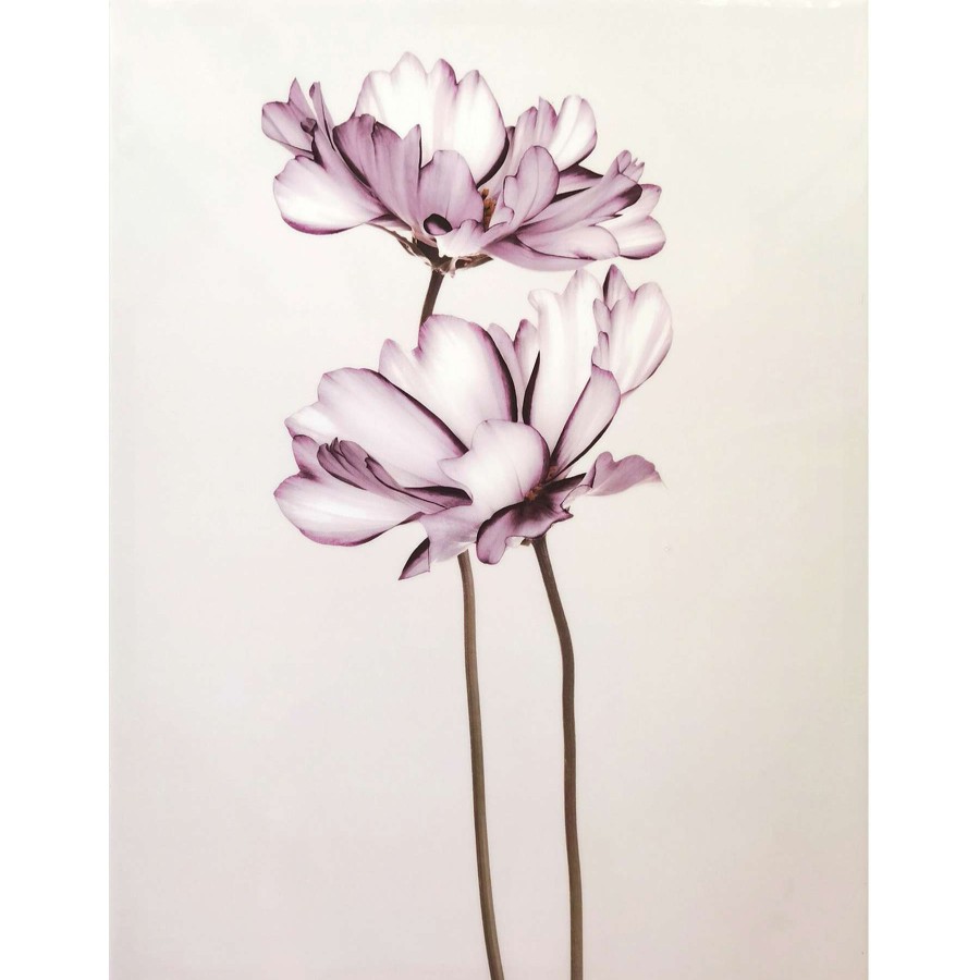 Wall Art * | Cosmos Flower Canvas Wall Art, 16 20 Affordable Price