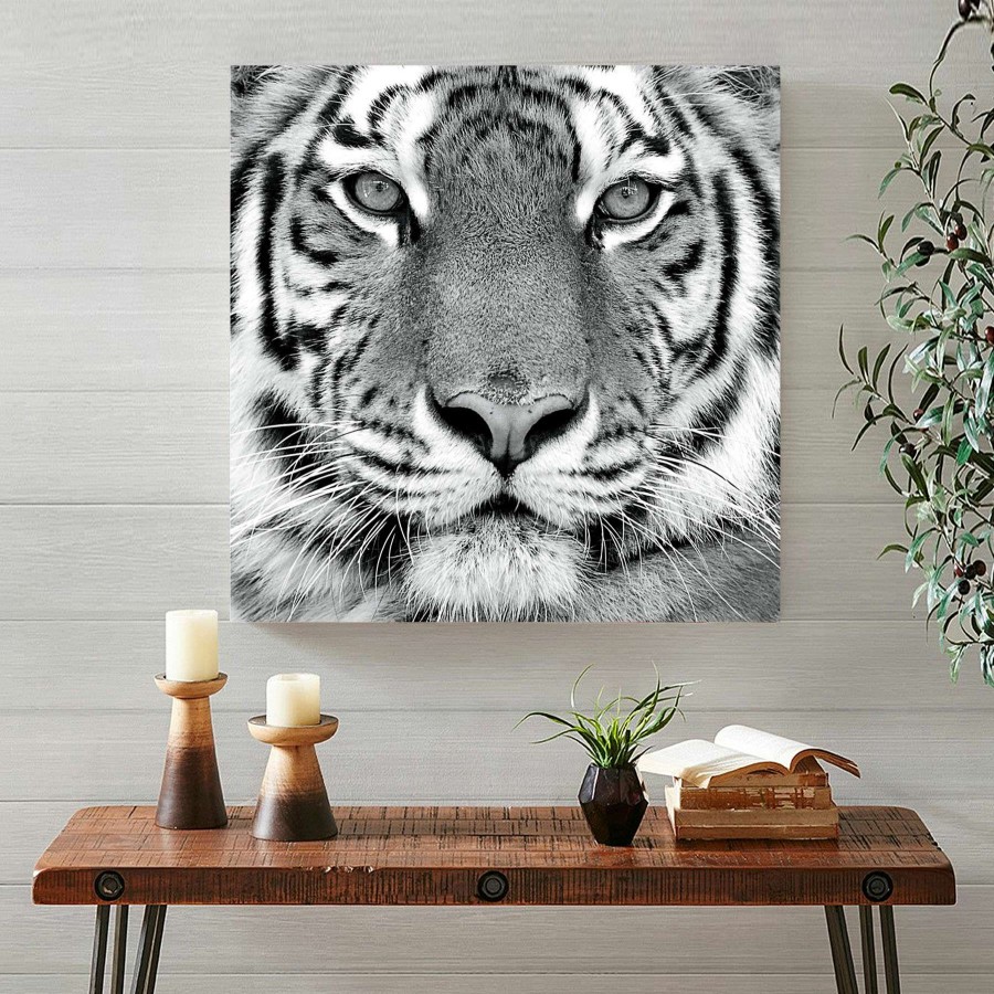 Wall Art * | 30X30 Tiger Canvas Art Promotion