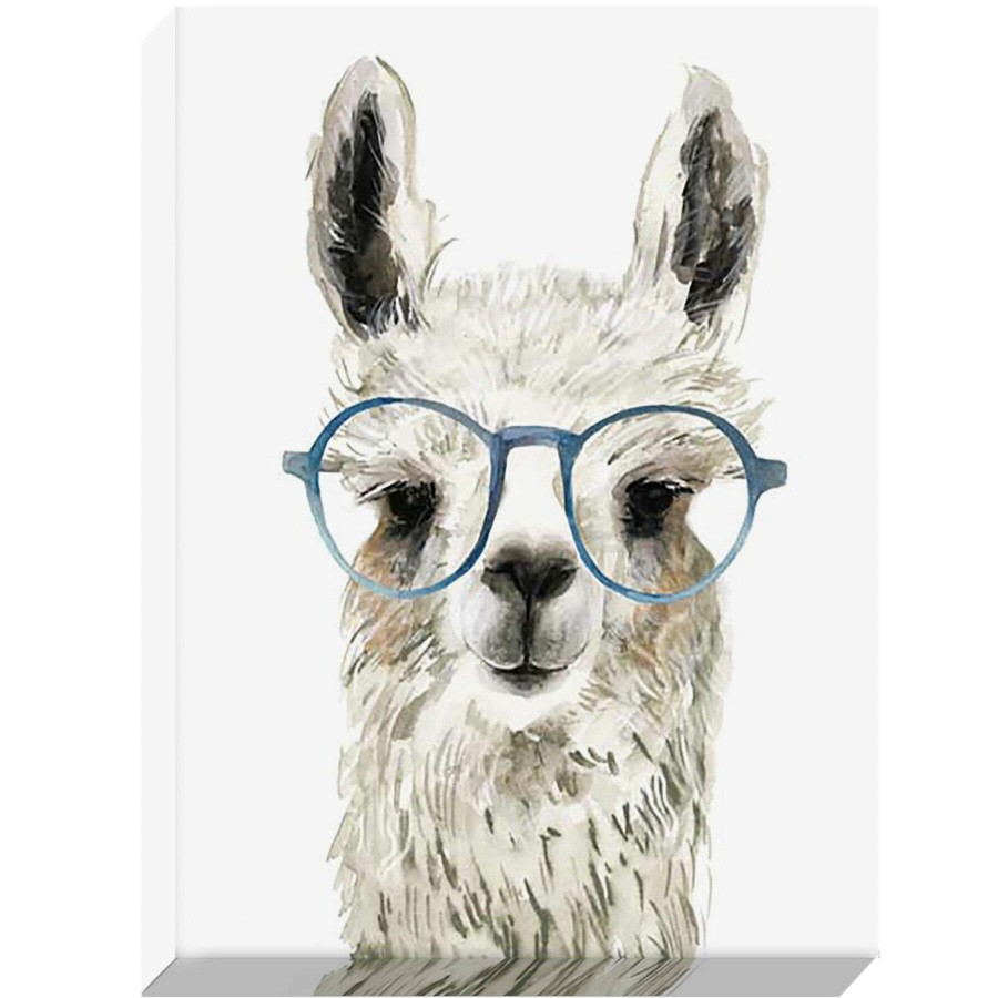 Wall Art * | 12X16 Hip Llama Textured Canvas Excellent