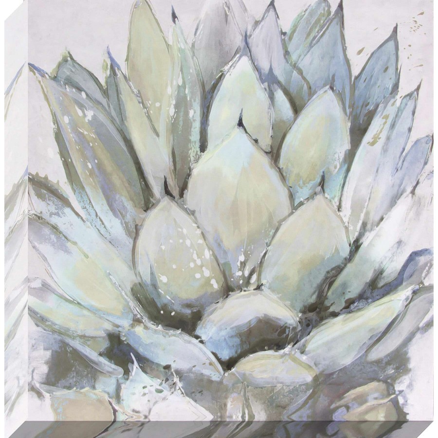 Wall Art * | Cereus Echeveria Canvas Wall Art, 12 Affordable Price