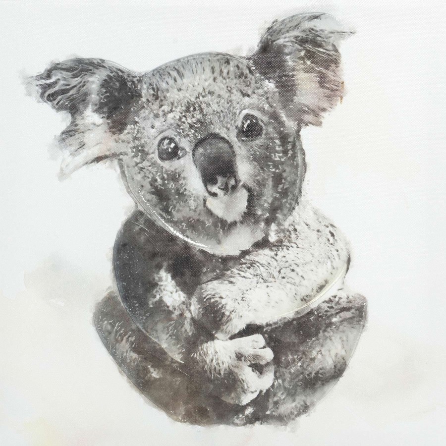 Wall Art * | Koala Canvas Wall Art, 12 At Lower Price