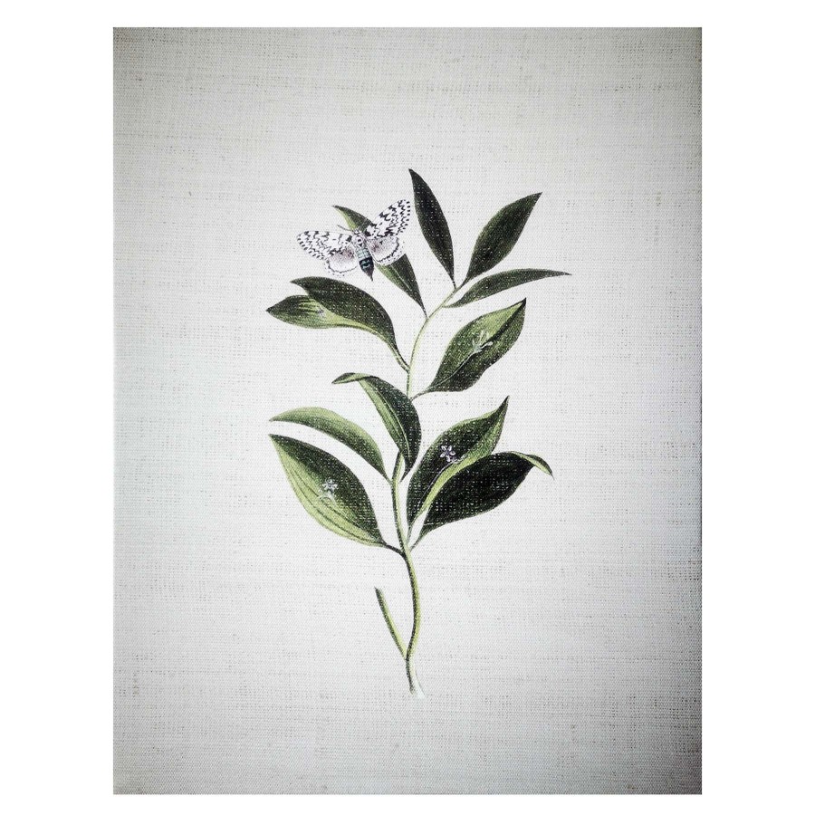 Wall Art * | Grace Mitchell Botanical Canvas Wall Art, 11 14 At Lower Price