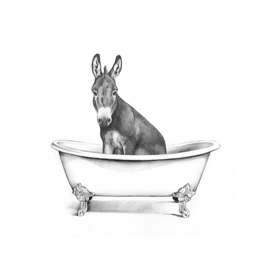 Wall Art * | Farm Donkey In Bathtub Canvas Wall Art, 12 16 Special Design