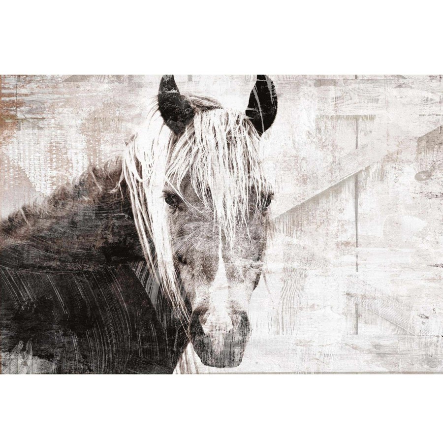 Wall Art * | Horse Portrait Canvas Wall Art, 36 24 The Latest Fashion